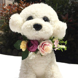 Elegant Flower Headband for Dogs