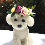 Elegant Flower Headband for Dogs