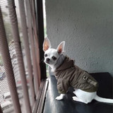 Dog Hoodie Dog Coats - Dog Winter Jacket Great Dog Gifts