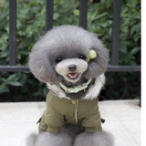 Dog Coats Dog Hoodie - Dog Winter Jacket Great Dog Gifts