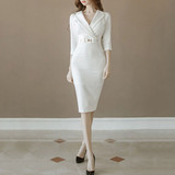 Surplice Plain Bodycon Dress