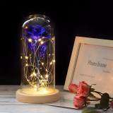 ENCHANTED ROSE