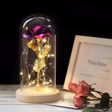 ENCHANTED ROSE