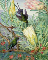 Birds and Big Flowers