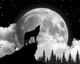 Lonesome Howl