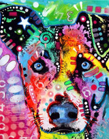 Dog Fashion Color