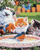 Cats looking at a Bird