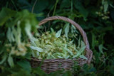 Basket of Flowers