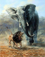 Lion and Elephant