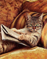 Don't mess with This Cat