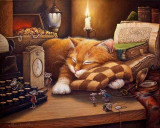 Lazy cat