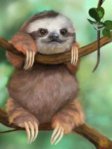 Diamond Painting - Lazy on a Branch