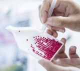 Diamond Painting - Van Gogh Flowers