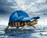 Diamond Painting - Turtle and Cap