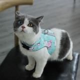 Breathable Pet Harness and Leash Set