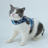 Breathable Pet Harness and Leash Set