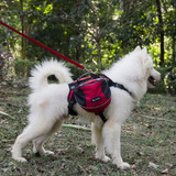Pet Outdoor Backpack Large Dog Adjustable Saddle Bag Harness Carrier