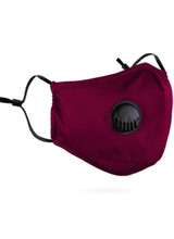 PM 2.5 Adult Face Mask w/ Ear Clip