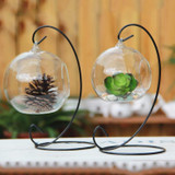 Alice in wonderland  Terrarium