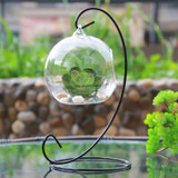 Alice in wonderland  Terrarium