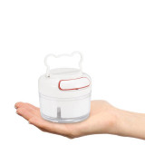 Manual Garlic Cutter & Chopper