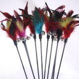 Feather Stick Interactive Cat Toy