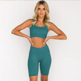 Workout Clothes for Women Sports Bra and Leggings, Athletic Yoga Set