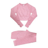 Women Yoga Set Workout Sports wear