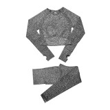 Women Yoga Set Workout Sports wear