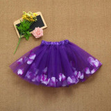 Ballet Dance Dress