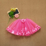 Ballet Dance Dress