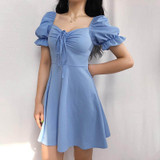 Vintage Flare Lantern Sleeve Dress