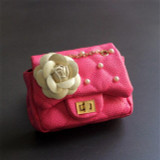 Fashion Mini Leather Handbag