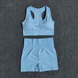 Women Seamless 2PCS Yoga Set Sports Bra High Waist Fitness Gym Shorts Gym Set Running Sportswear Workout Clothes Sports Suits