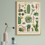 Cacti Print Wall Art