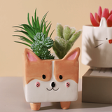 CORGI PLANTER