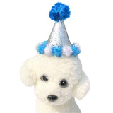 Pet Birthday Costume