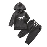 Fall Baby Boys Dinosaur Print Set