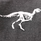 Fall Baby Boys Dinosaur Print Set