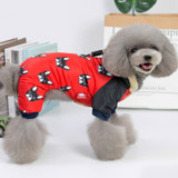 Four-legged clothes for dogs