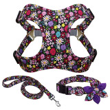 Harness Leash And Collar Set