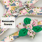 Harness Leash And Collar Set