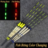 Fishing Inductive Electronic Float