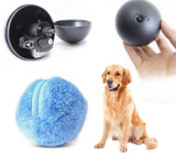 Electronic Rolling Ball Pet Play Toy