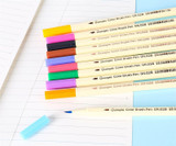 Colourful Brush Pen -set of 10