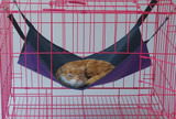 Pet Hammock