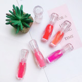Moisturizer Plumper Lip Gloss
