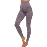 Yoga Seamless legging