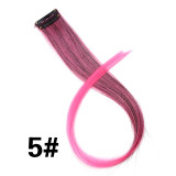 Colorful Synthetic Hair Extensions Clip
