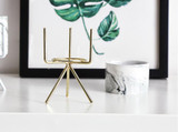 Vase Marmor Look